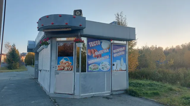 Право на заключение договора, предусматривающего размещение нестационарного торгового объекта с учетным номером 92 на автомобильной остановке напротив ул.Корнилова,9, Новоуральский городской округ