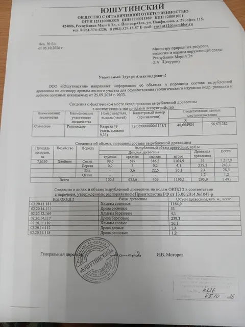 Древесина