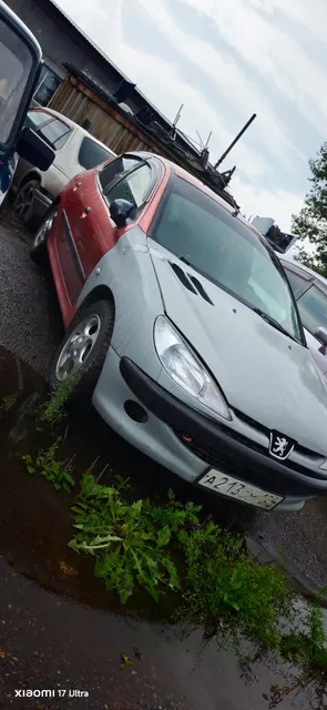 Автомобиль PEUGEOT 206, г/н А213ОМ124, 2000 г.в., VIN VF32AKFXP41247892, цвет оранжевый, комплектность и состояние  не проверялась данное  имущество обращено в доход государства, (Документы отсутствуют)Находится в Нижнеингашском районе