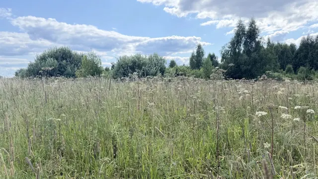 Аукцион в отношении земельного участка с КН 50:08:0080328:628