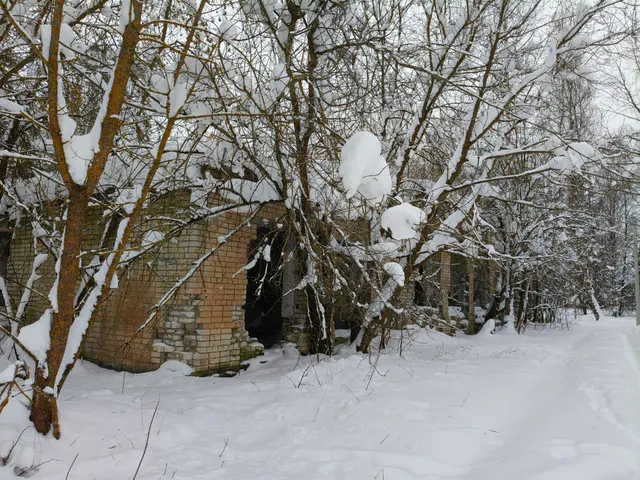 Нежилое здание столовой, площадь - 684,8 кв.м, количество этажей – 1, кадастровый номер 52:15:0110102:450, под разбор (демонтаж) с учетом годных остатков здания (строения), расположенное по адресу: Нижегородская область, р-н Городецкий, Кумохинский с/с д. Пестово, военный городок 9