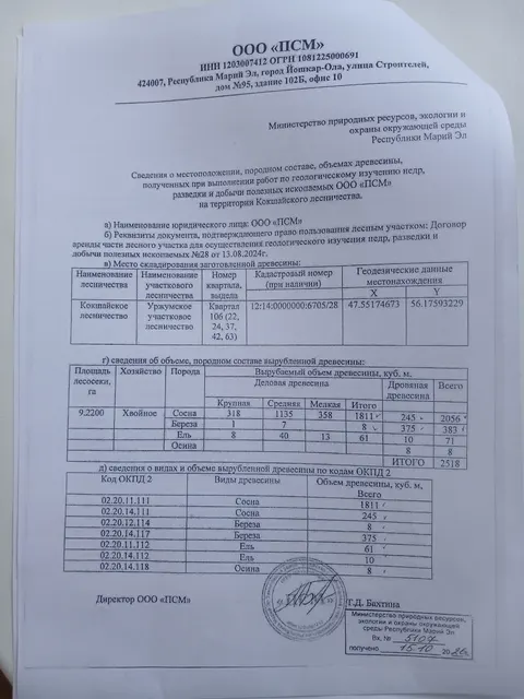 Древесина