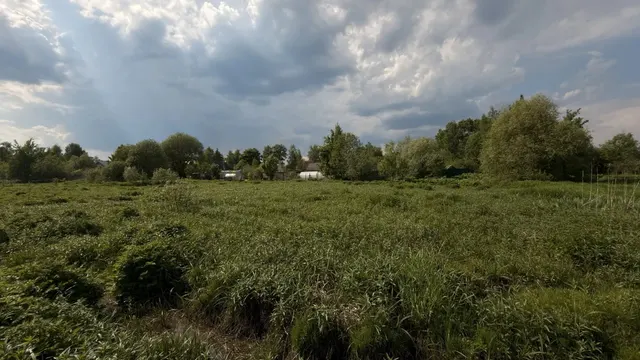 Аукцион в отношении земельного участка с КН 50:08:0090221:824