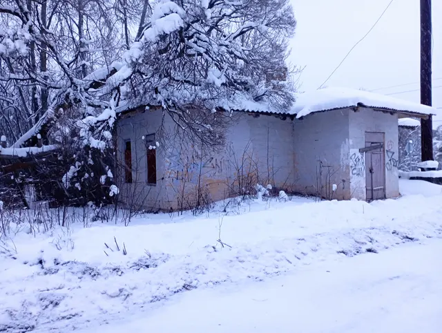 Здание, расположенное по адресу: Новгородская область, р-н Маловишерский, с/п Веребьинское, д. Веребье, ул. 1 Мая, д. 10,  общей площадью 71,3 кв.м, с кадастровым номером 53:08:0051603:136, назначение: нежилое
