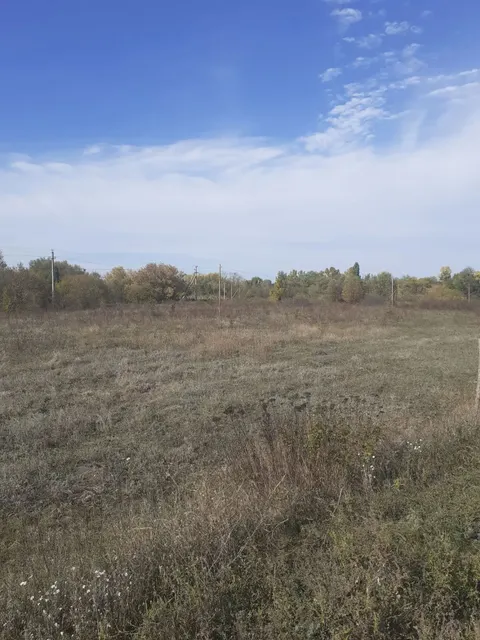 Право заключения договора аренды земельного участка