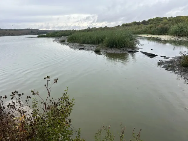 Гидротехническое сооружение (плотина с донным и паводковым водосбросом) с кадастровым номером 31:24:0603003:112, Земельный участок с кадастровым номером 31:24:0603003:110