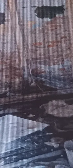 Лот 1