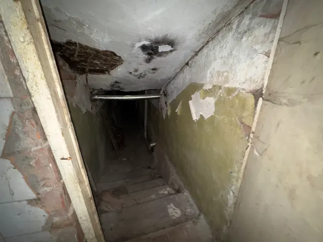 Нежилое помещение, находящееся в государственной собственности Санкт-Петербурга, расположенное по адресу: г. Санкт-Петербург, улица Чайковского, дом 51, литера А, помещение 4-Н