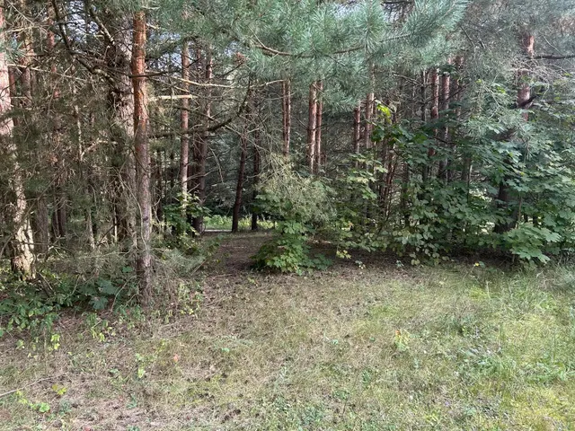 Аукцион в отношении земельного участка с КН 50:36:0020511:1084