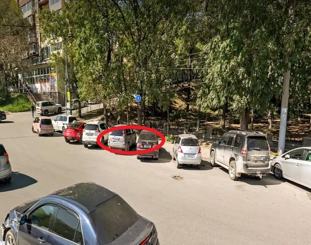 Право включения в схему размещения нестационарного торгового объекта - автолавка площадью 10,0 кв. м: специализация – новогодние елки, место размещения: г. Владивосток, ул. Светланская, 177, в соответствии с координатами