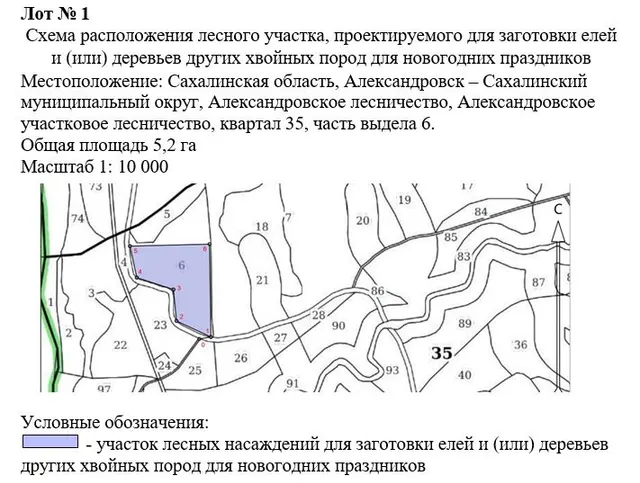 Право заключения договора купли-продажи лесных насаждений для заготовки елей и (или) деревьев других хвойных пород для новогодних праздников в границах земель лесного фонда Александровского лесничества