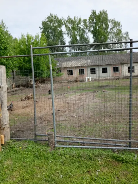 Нежилое здание по адресу: Брянская область, Брянский район, д. Молотино, ул.Школьная   и земельный участок категория земель: земли населенных пунктов, вид разрешенного использования: для ведения личного подсобного хозяйства (кадастровый номер 32:02:0060802:287)