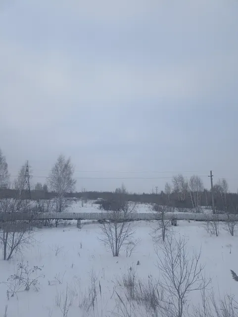 Земельный участок из состава земель населенных пунктов с кадастровым номером 55:36:030117:1025