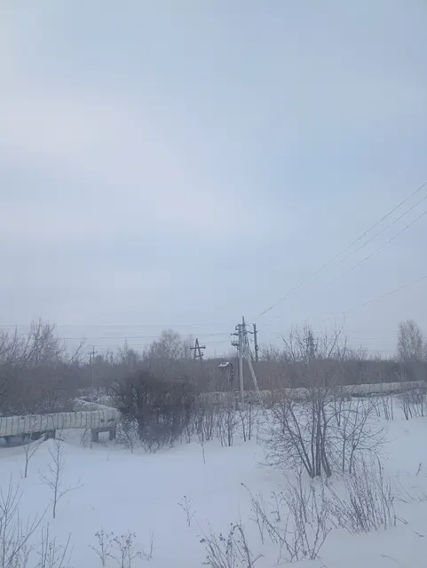 Земельный участок из состава земель населенных пунктов с кадастровым номером 55:36:030117:1023