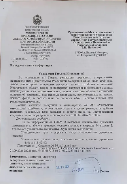 Древесина. Лот № 17