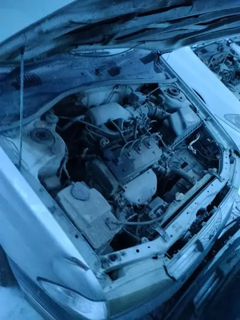 Автомобиль марки Toyota Carina, государственный регистрационный знак Р423СА27, 1997 года выпуска, категории В/М1, номер двигателя G207289, номер кузова АТ2116030533, цвет кузова светло-серый