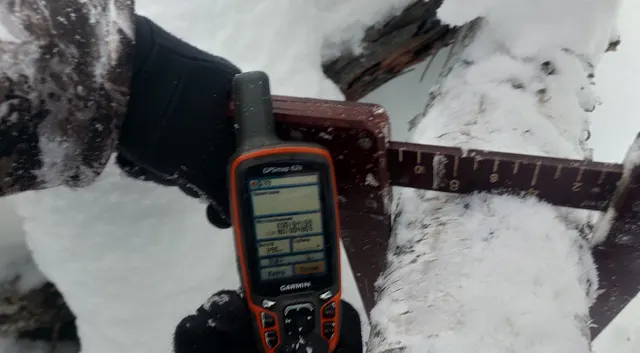 Стволы деревьев породы:  -«Береза» - 7 шт. – 1,710 м3; -«Лиственница» - 5шт. – 0,706 м3; -«Ель» - 16 шт. – 1,914 м3; -«Кедр» - 6 шт. – 0,624 м3; -«Сосна» - 6 шт. – 4,590  м3; -«Осина» - 1 шт. – 0,24 м3, общий объем 9,784 м3(860 ВД/МВД/СО)