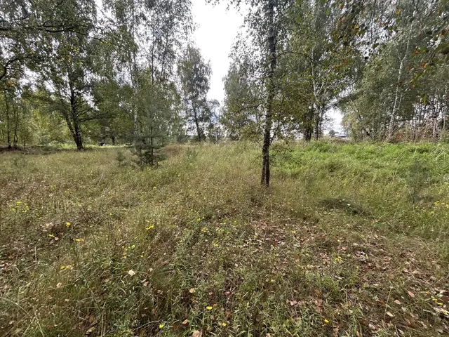 Аукцион в отношении земельного участка с КН: 50:36:0040104:1233