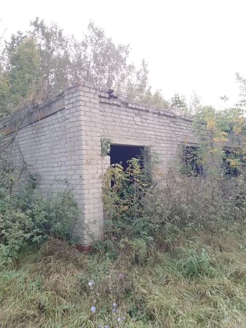 Земельный участок и объекты недвижимого имущества, расположенные по адресу: Воронежская область, Панинский район, рп. Панино, ул. Никитина, 1