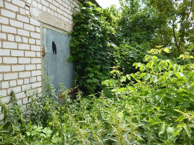 Нежилое здание, с кн 62:24:0010205:204, площадь 39,2 кв.м, РНФИ:П12620000855, по адресу:Рязанская область, р-н Шацкий, г Шацк,                              ул. Революционная, д 27