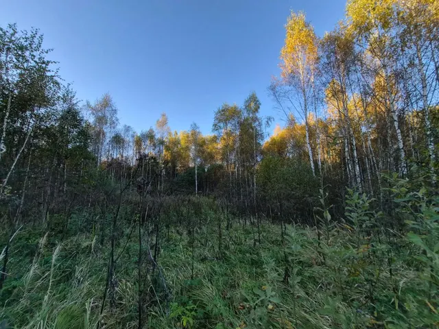 Аукцион в отношении земельного участка с КН: 50:18:0020402:762