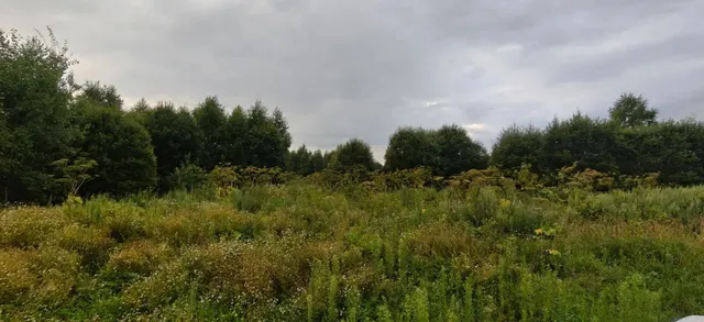 Аукцион в отношении земельного участка с КН: 50:19:0010108:1060