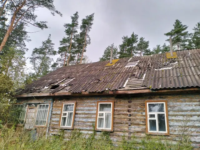 Нежилые здания: КН 60:09:0033601:56, площадью 223,9 кв.м., 1970 года постройки, КН 60:09:0033601:51, площадью 102,2 кв.м., 1972 года постройки, КН 60:09:0033601:52, площадью 163,2 кв.м., 1970 года постройки, КН 60:09:0033601:53, площадью 33,1 кв.м., 1972 года постройки, КН 60:09:0033601:54, площадью 15 кв.м., 1998 года постройки, КН 60:09:0033601:55, площадью 11,9 кв.м., 1968 года постройки и земельный участок КН 60:09:0033601:29, площадью 33678 кв.м. расположенные по адресу: Псковская область,