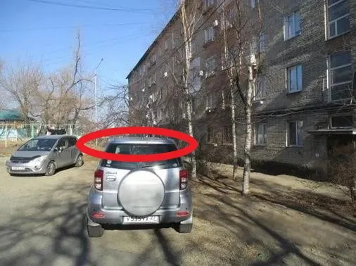 Право включения в схему размещения нестационарного торгового объекта - елочный базар площадью 30,0 кв. м: специализация – новогодние елки, место размещения: г. Владивосток, ул. Нахимова, 1, в соответствии с координатами