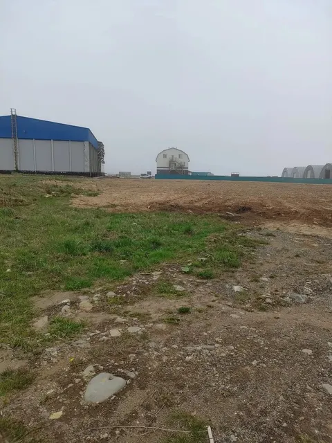 Земельный участок с кадастровым номером 65:26:0000010:347 площадь 10000 по адресу Российская Федерация, Сахалинская область, Курильский район, местоположение установлено относительно ориентира, расположенного в границах участка. Ориентир на 2-ом километре автодороги Курильск-Буревестник. Почтовый адрес ориентира: обл. Сахалинская, р-н Курильский