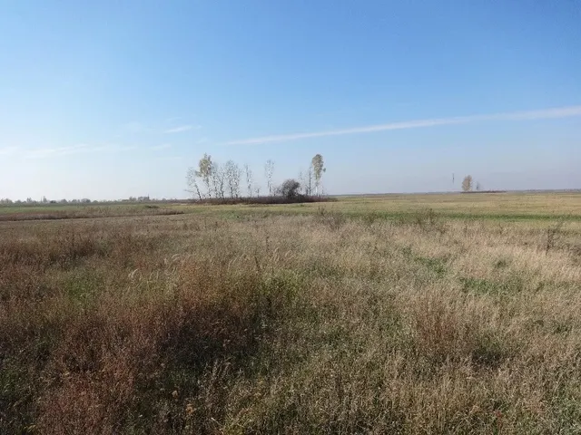 Земельный участок из земель сельскохозяйственного назначения c кадастровым номером 32:19:0420106:32