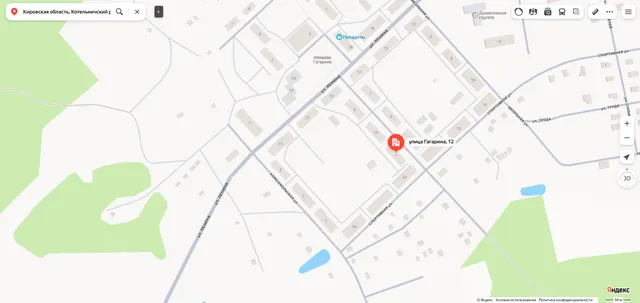 Доля в праве общей долевой собственности (1/4 доли) на жилое помещение «квартира» площадью 54,6 кв.м., этаж № 1, кадастровый номер 43:13:500201:646, расположенное по адресу: Кировская область, Котельничский район, п. Светлый, ул. Гагарина, д. 12, кв. 10