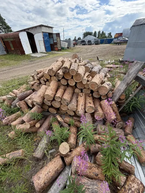 Древесина породы сосна в виде распиленных на чурки длиной 40-45 см диаметром 8-30 см, 506 шт., 9,7 куб.м. АС ПИБИ 11-009797