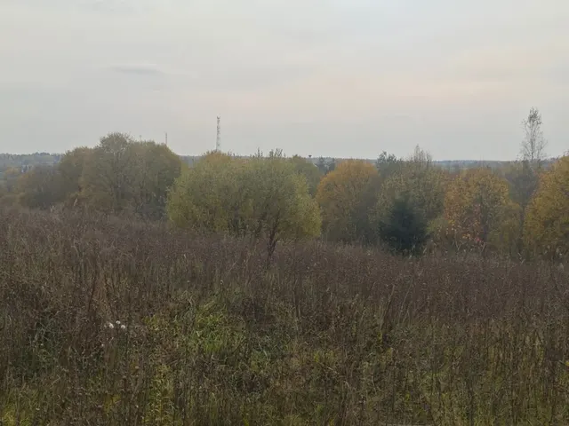 Аукцион в отношении земельного участка с КН 50:05:0040410:381
