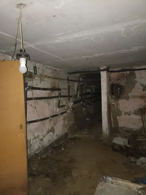 Нежилое помещение в многоквартирном доме с кадастровым номером 62:29:0070010:2556, назначение: нежилое, площадью 113,4 кв.м, подвал № 0, расположенное по адресу: Российская Федерация, Рязанская область, г.о. город Рязань, г. Рязань, ул. Гагарина, д. 87, помещение Н3, реестровый номер: 149191.