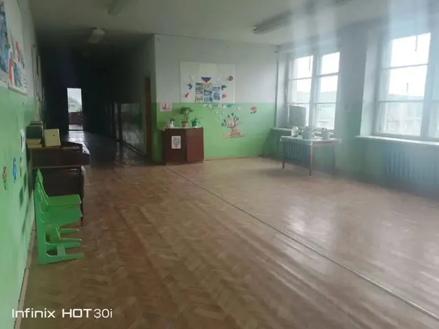 Нежилое помещение с кадастровым номером 33:12:010733:345, общей площадью 700,3 кв.м., расположенное по адресу: Владимирская область, муниципальный округ Собинский, с. Волосово, ул. Мичуринская, д. 9а.