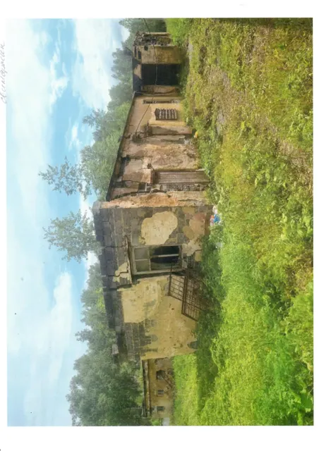 Нежилое здание (свинарник), площадью 464,4 кв.м., кадастровый номер: 74:19:0000000:6004, реестровый номер: П12740001697, по адресу: Челябинская обл., р-н Сосновский, п. Биргильда, объекты подсобного хозяйства. Целевое назначение: нежилое.