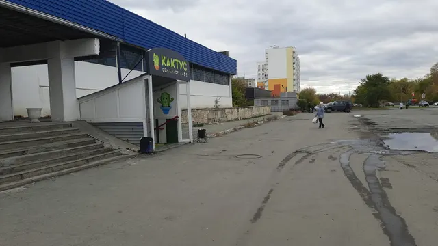 Елочный базар по адресу: г. Курган, 3 микрорайон, в районе здания № 1