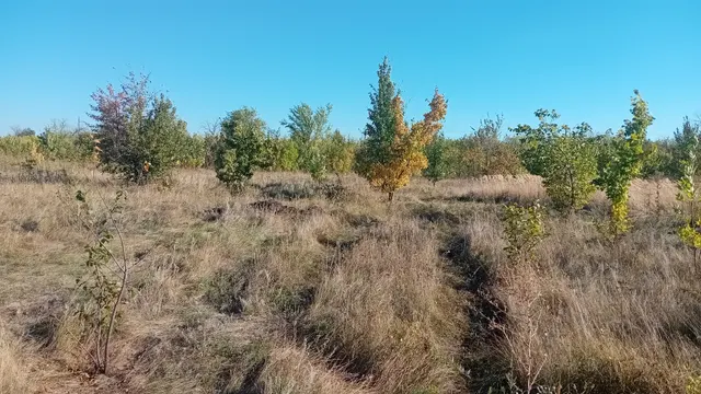 Право заключения договора аренды земельного участка