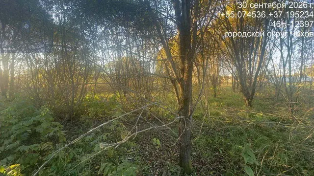 Аукцион в отношении земельного участка с КН 50:31:0050205:1105