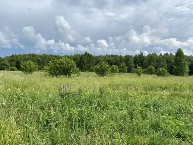 Аукцион в отношении земельного участка с КН 50:19:0050419:893