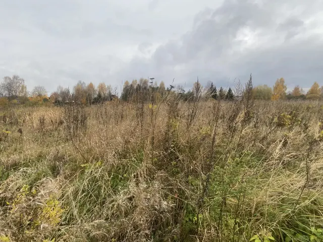 Аукцион в отношении земельного участка с КН 50:19:0060123:767