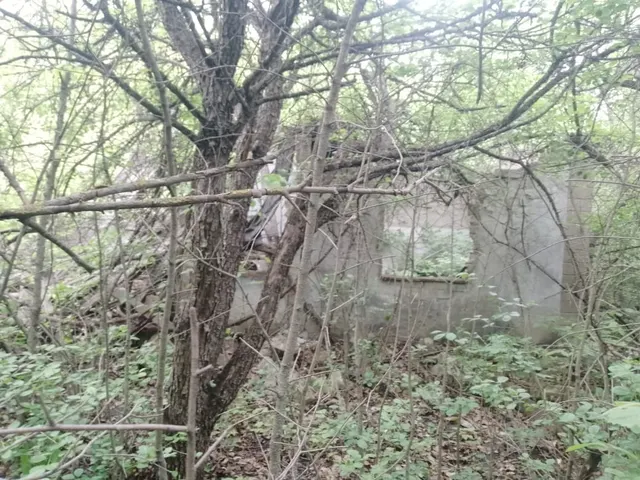 садовый дом и земельный участок
