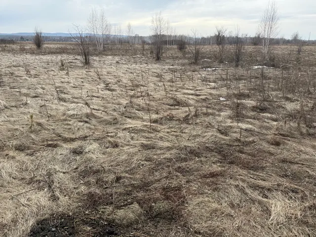 Земельный участок, площадью 657+/-5 кв.м, кадастровый №24:04:0305001:3258, по адресу: Красноярский край, Березовский район, ДНТ «Зеленые луга». Начальная цена продажи 128000 руб. Задаток 6350 руб.