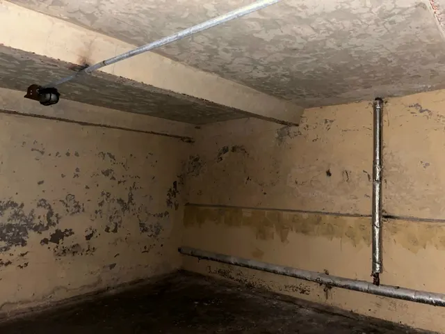 Нежилое помещение, находящееся в государственной собственности Санкт-Петербурга, расположенное по адресу: Российская Федерация, Санкт-Петербург, внутригородское муниципальное образование города федерального значения Санкт-Петербурга город Павловск, Детскосельская улица, д. 15, литера А, пом. 6-Н