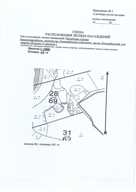 Лесные насаждения