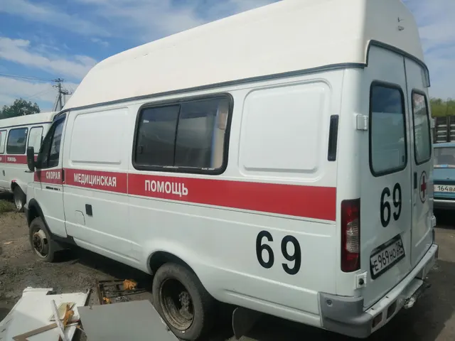 Автомобиль скорой медицинской помощи 384065, (VIN) Z8X384065D0001724, год выпуска 2013