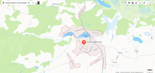 Доля в праве общей долевой собственности (1/4 доли) на жилое помещение «квартира» площадью 40,5 кв.м., этаж № 1, кадастровый номер 43:33:310104:206, расположенное по адресу: Кировская область, Тужинский район, пгт. Тужа, ул. Строителей, д. 11, кв. 1