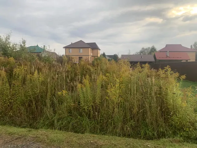 Аукцион в отношении земельного участка с КН 50:31:0050414:2859