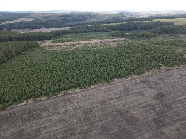 Право заключения договора аренды на земельный участок с кадастровым номером 18:18:010001:164