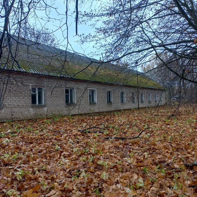 здание бывшей школы, назначение: нежилое, площадью 366 кв.м (кадастровый номер 67:25:0580101:342) с земельным участком (кадастровый номер 67:25:0580101:343)  площадью 13615 +/- 41 расположенными по адресу: РФ, Смоленская область, муниципальный район Ярцевский, сельское поселение Капыревщинское, деревня Печеничено, ул. Школьная, д. 1А